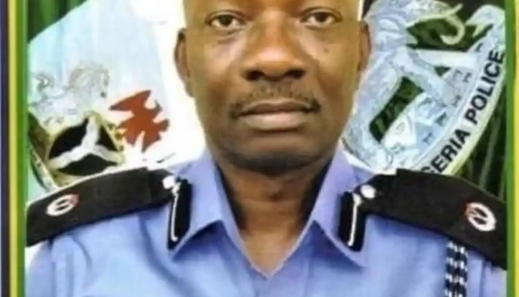 Meet the New Acting Inspector-General of Police, Kayode Egbetokun