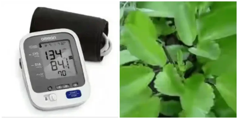 yoruba herbs for lowering high blood pressure