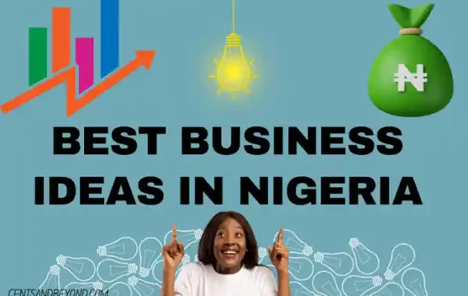 The Ultimate Guide to Small Business Ideas in Nigeria: Opportunities for Financial Freedom