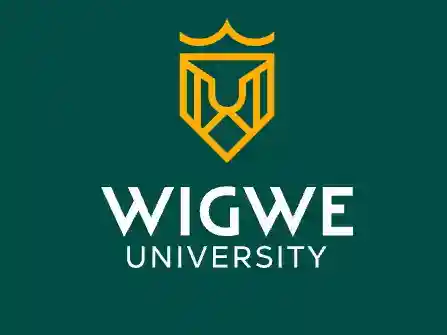 Wigwe University Recruitment for Non-Academic Staff