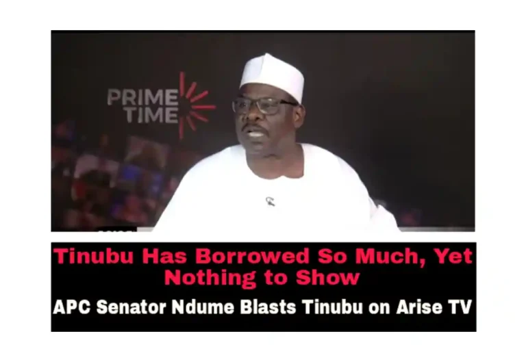 Tinubu Has Borrowed So Much, Yet Nothing to Show” – APC Senator Ndume Blasts Presidency on Arise TV