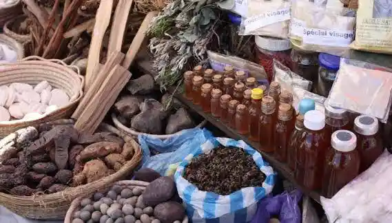 10 Natural Herbs Used in Nigerian Traditional Medicine That Actually Work