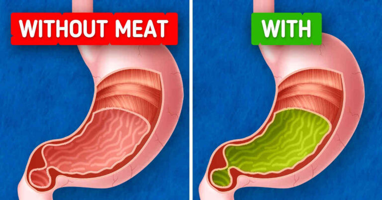 What Happens to Your Body When You Stop Eating Meat Completely?
