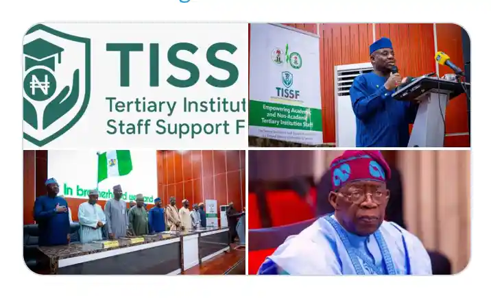 Tinubu Administration Opens Portal for N10 Million Interest-Free Loan for Tertiary Institution Staff