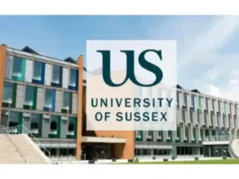 University of Sussex, 2026 Scholarship, Engineering Scholarship