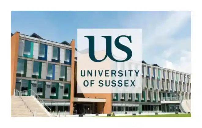 University of Sussex, 2026 Scholarship, Engineering Scholarship